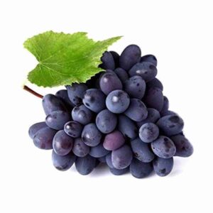 Fresh Black Grapes (Kala Angoor) – Sweet & Juicy