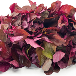 Fresh Red Spinach (Lal Saag / Lal Palak) – Farm Fresh