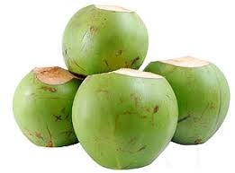 Fresh Tender Coconut (Nariyal Pani) – Green Coconut