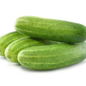 Fresh Cucumber (Kheera) – Farm Fresh & Crunchy