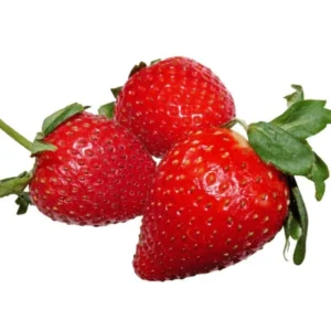 Fresh Strawberry – Sweet & Juicy