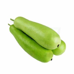 Fresh Bottle Gourd (Lauki / Doodhi) – Farm Fresh