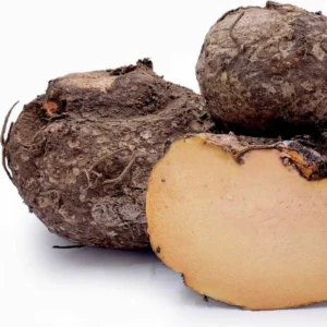 Fresh Arbi (Colocasia / Taro Root) – Farm Fresh