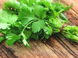 Fresh Coriander Leaves (Dhaniya Patta) – Aromatic & Farm Fresh